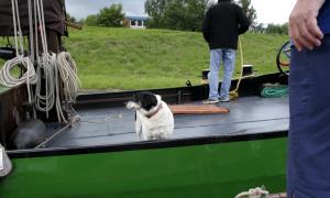 2005-08-04 Leer Traditionschiffertreffen 065-1_20.jpg